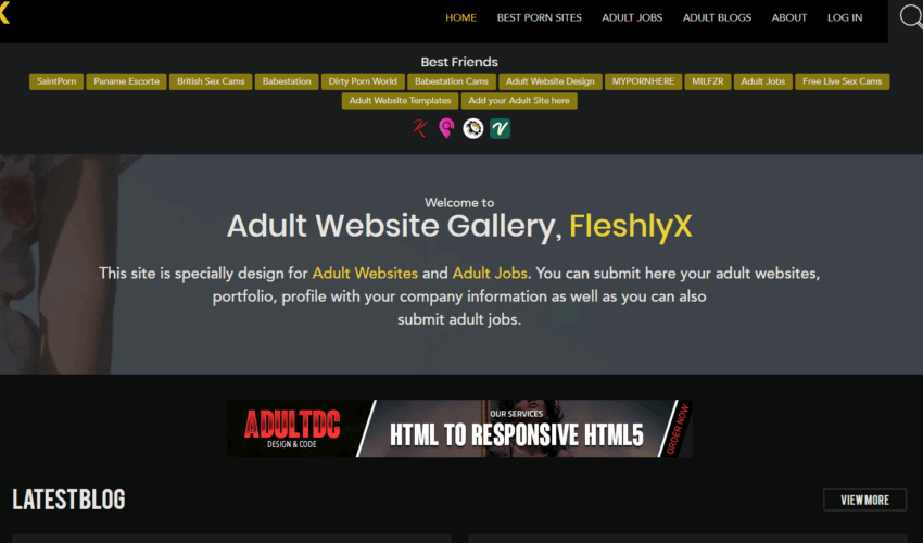 Best Porn Collection